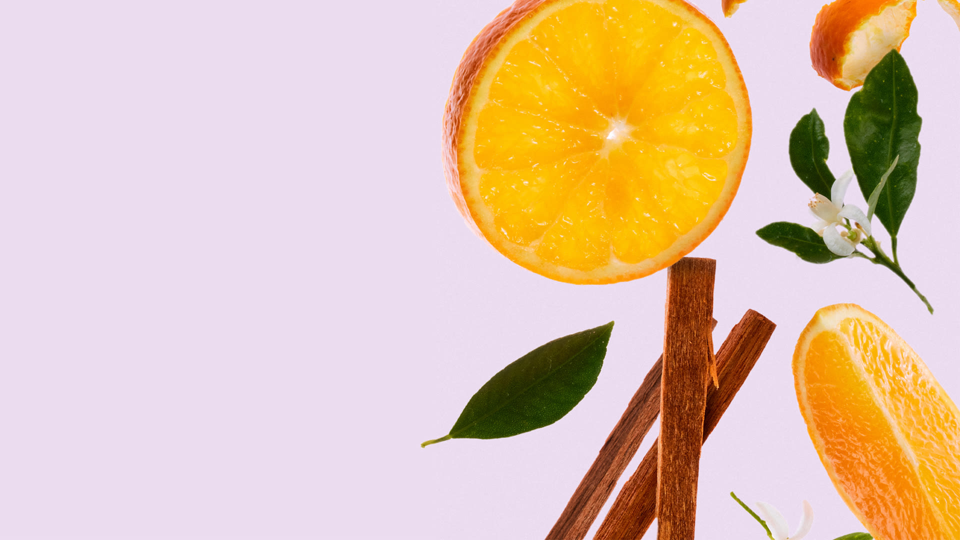 Sunny citrus garden