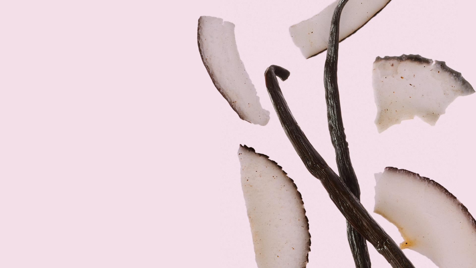 Sweet vanilla coconut scent